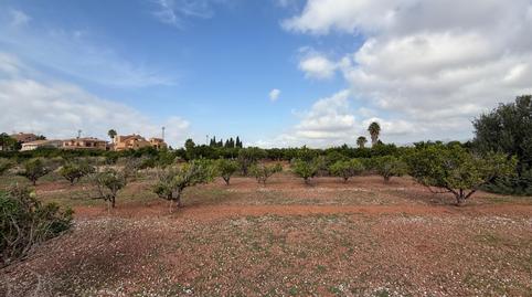 Photo 2 of Land for sale in Polígono 27, 129, El Puig, Valencia