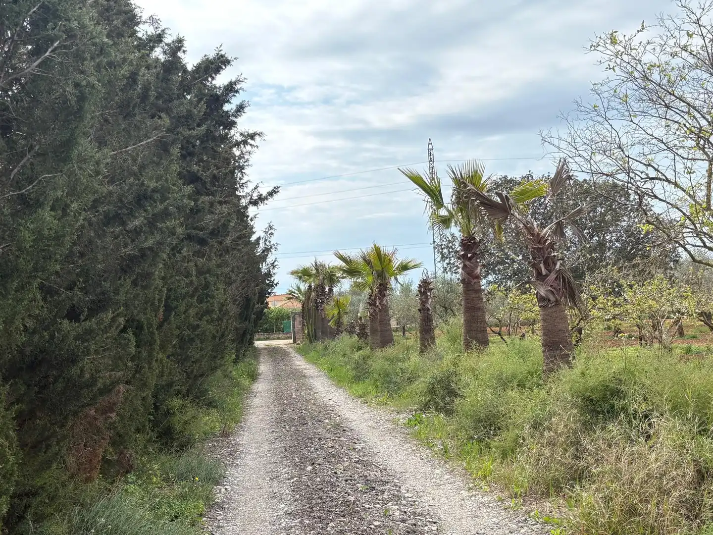 Landhaus mit Garten zum Verkauf in Carretera Llucmajor, imagen 22