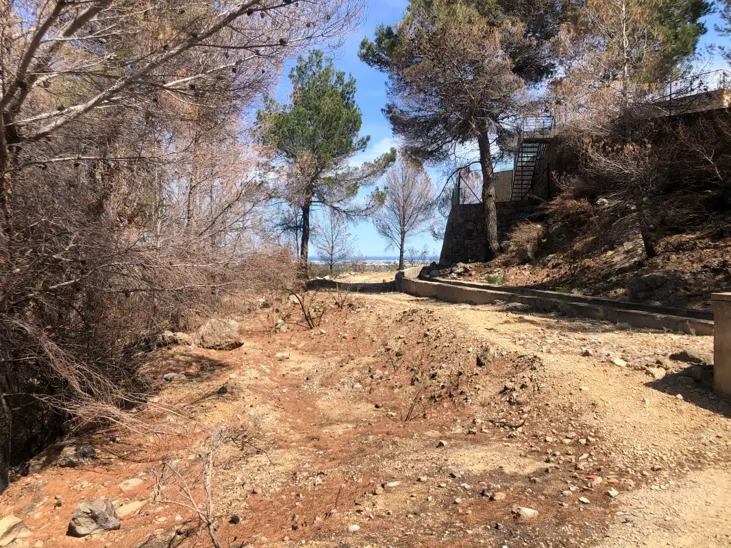 Terrain rustique à vendre à Plaça Poligono 11 15, imagen 17