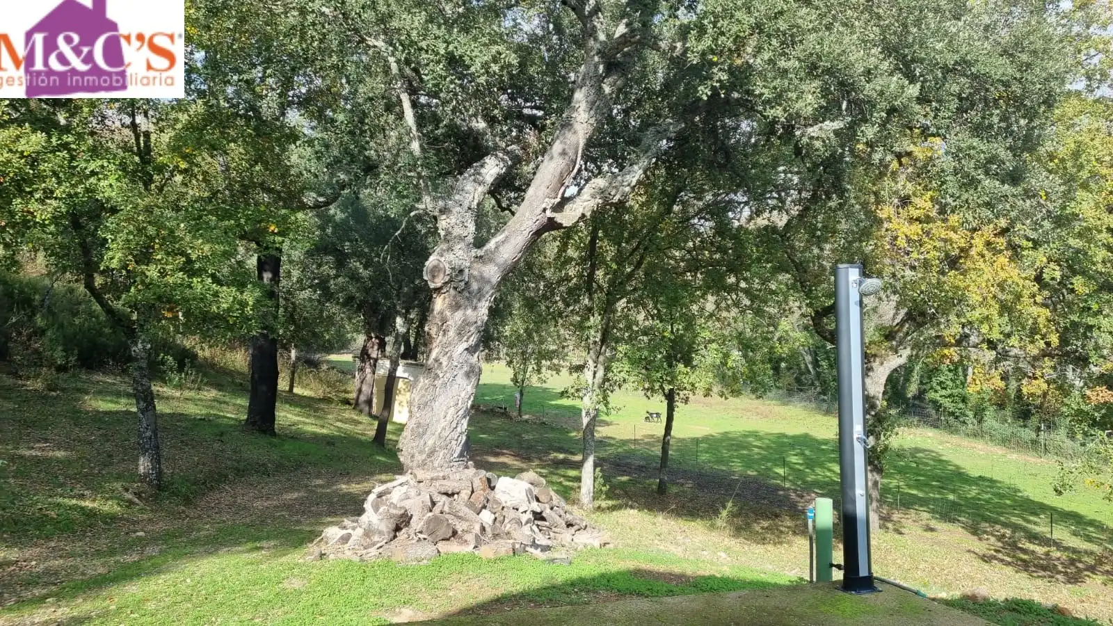 Rural land for sale in Fuencaliente, imagen 49