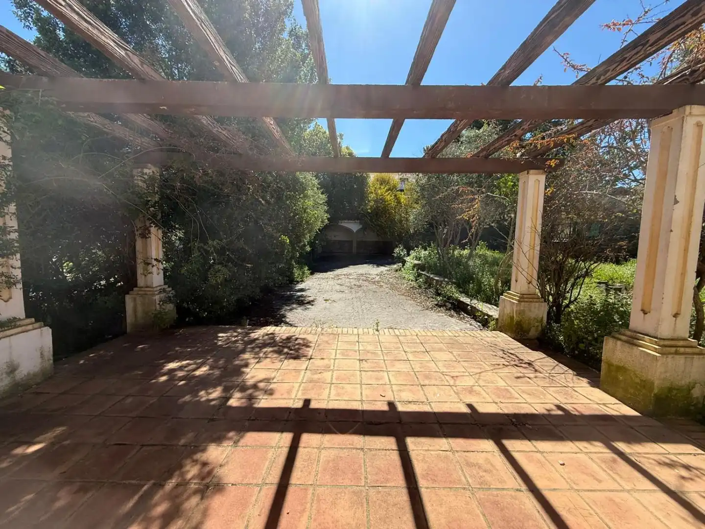 Garden of Houses for sale in Benalup-Casas Viejas  with Heating, Private garden and Terrace