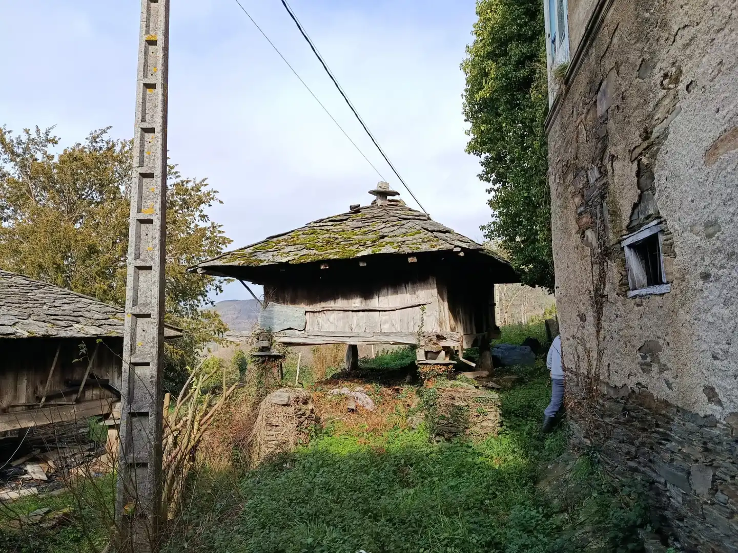 Vista exterior de Finca rústica en venda en A Pontenova   amb Jardí privat, Terrassa i Balcó