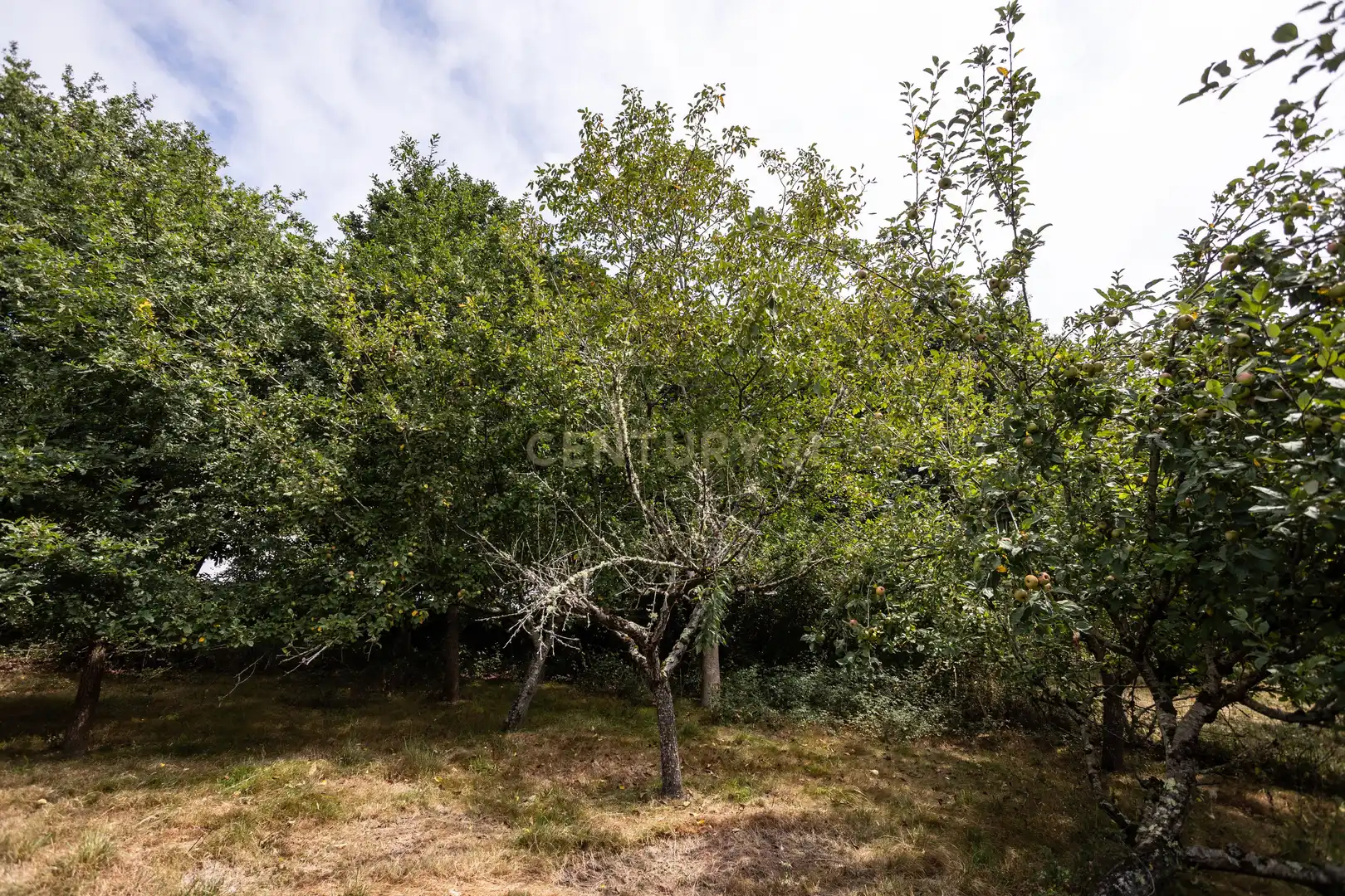 Maison à vendre à Sebares, Piloña, Asturias, Spain 28, imagen 79