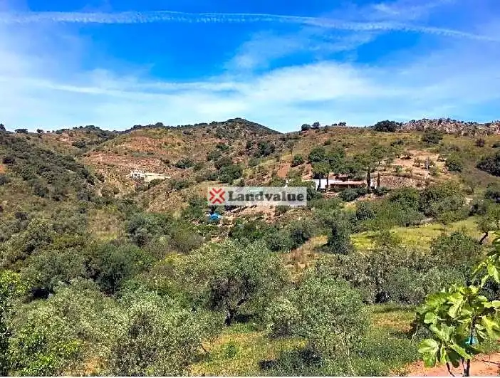 Terreni e lotti in vendita a Almogía, imagen 7