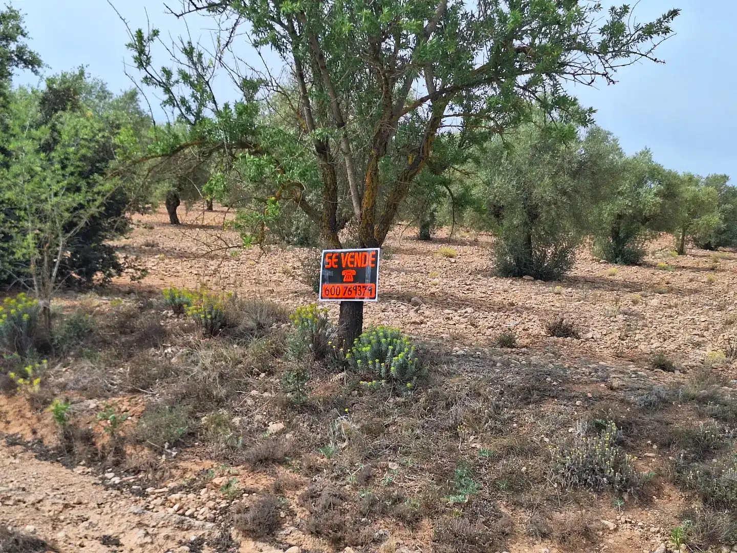 Finca rústica en venda en Beneixama