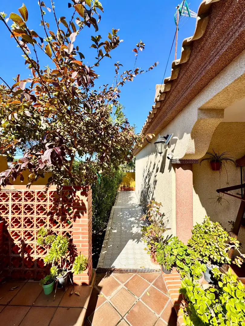 Vista exterior de Casa o chalet en venta en Chiclana de la Frontera con Aire acondicionado, Calefacción y Jardín privado