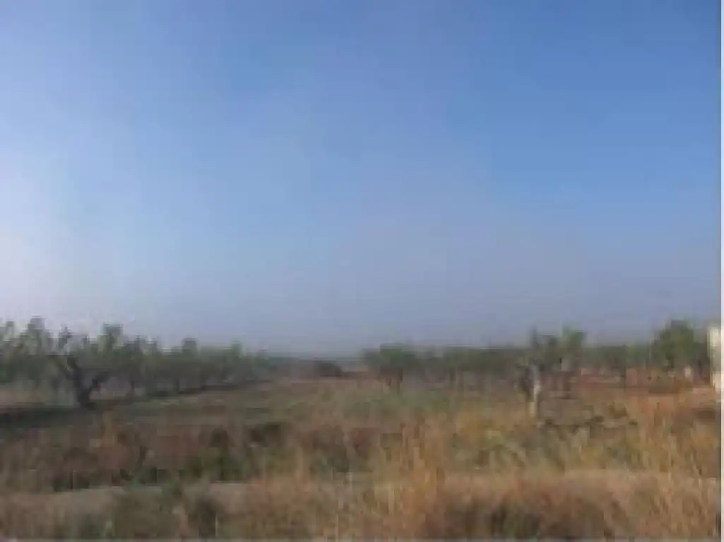 Terreno rustico in vendita a Cabanes, imagen 3