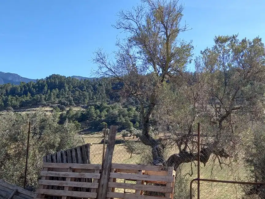 Rural land for sale in Carrer de Freginals 0, imagen 9