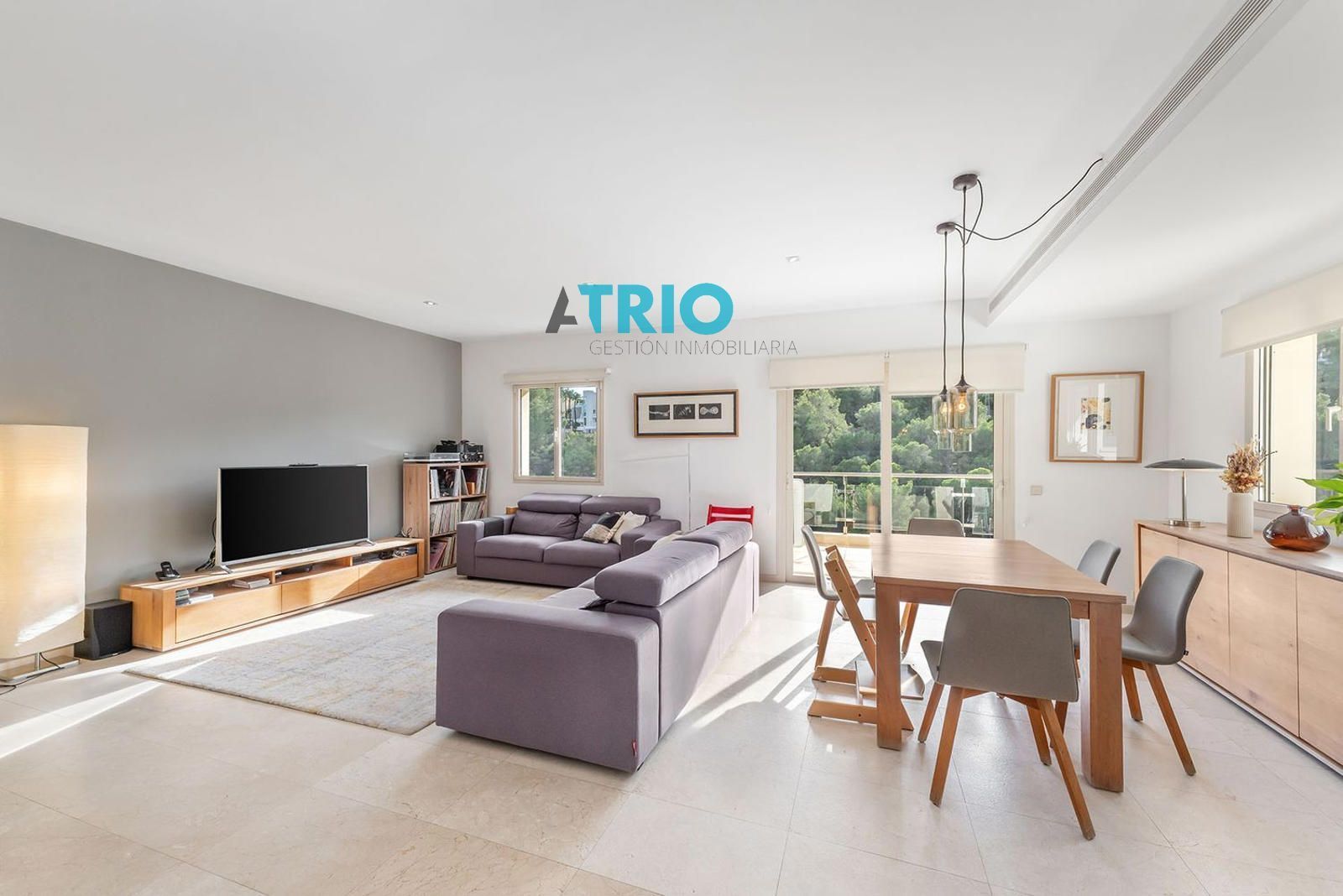 Living room of Flat for sale in  Palma de Mallorca  with Air Conditioner, Heating and Terrace