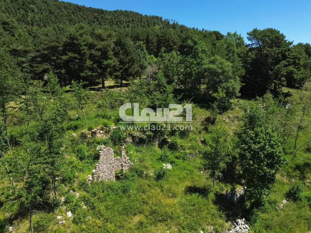 Casa rústica en venta en Calle Mas Vilà, imagen 10