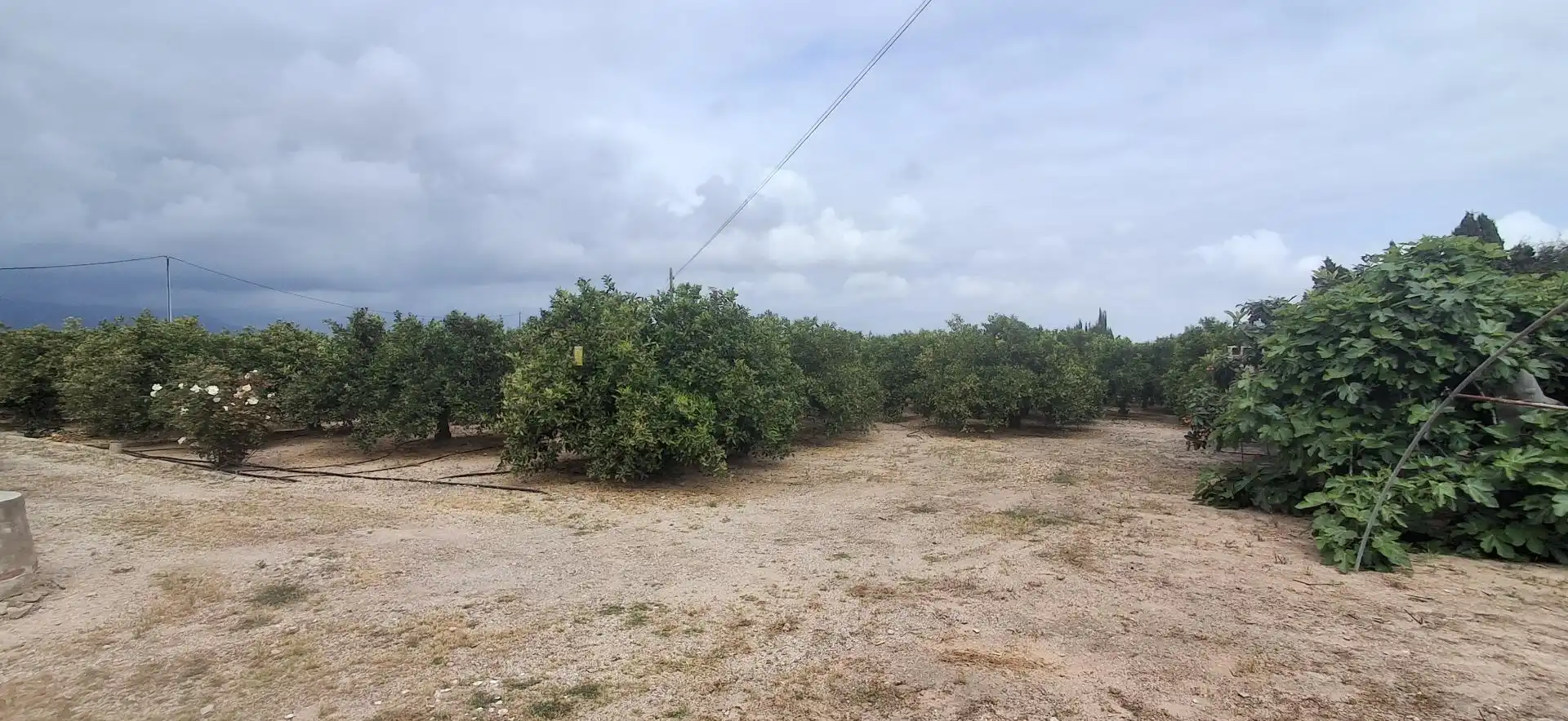 Casa o xalet en venda en Cullera amb Aire condicionat, Jardí privat i Moblat