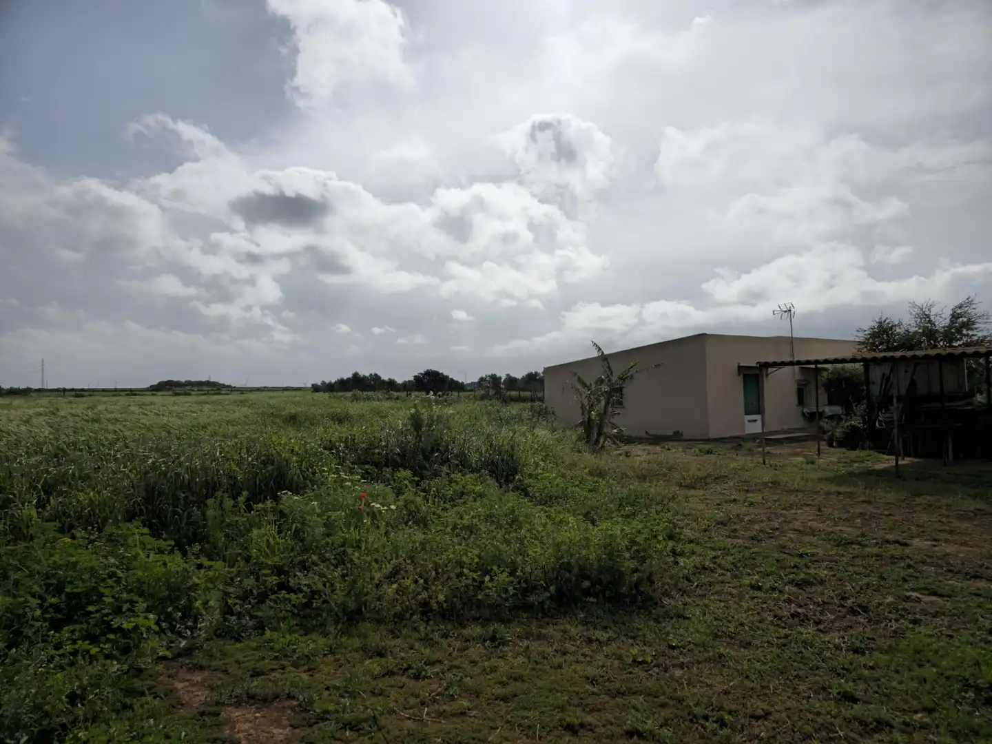 Finca rústica en venta en Puerto Real con Trastero