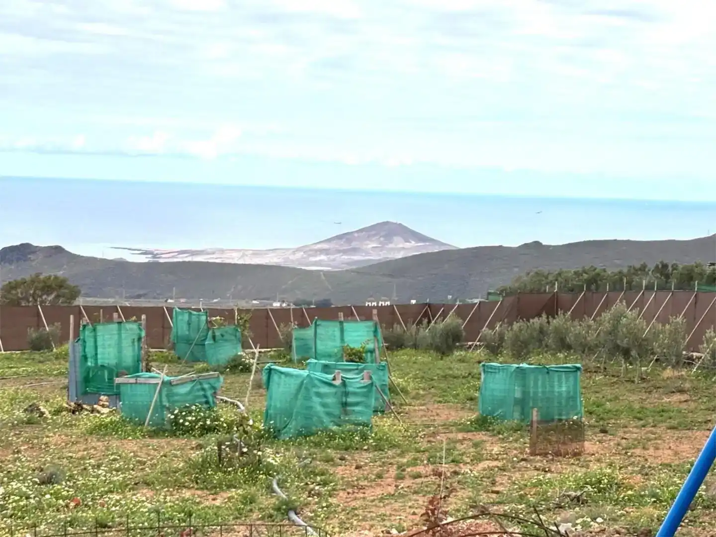 Finca rústica en venda en Ingenio
