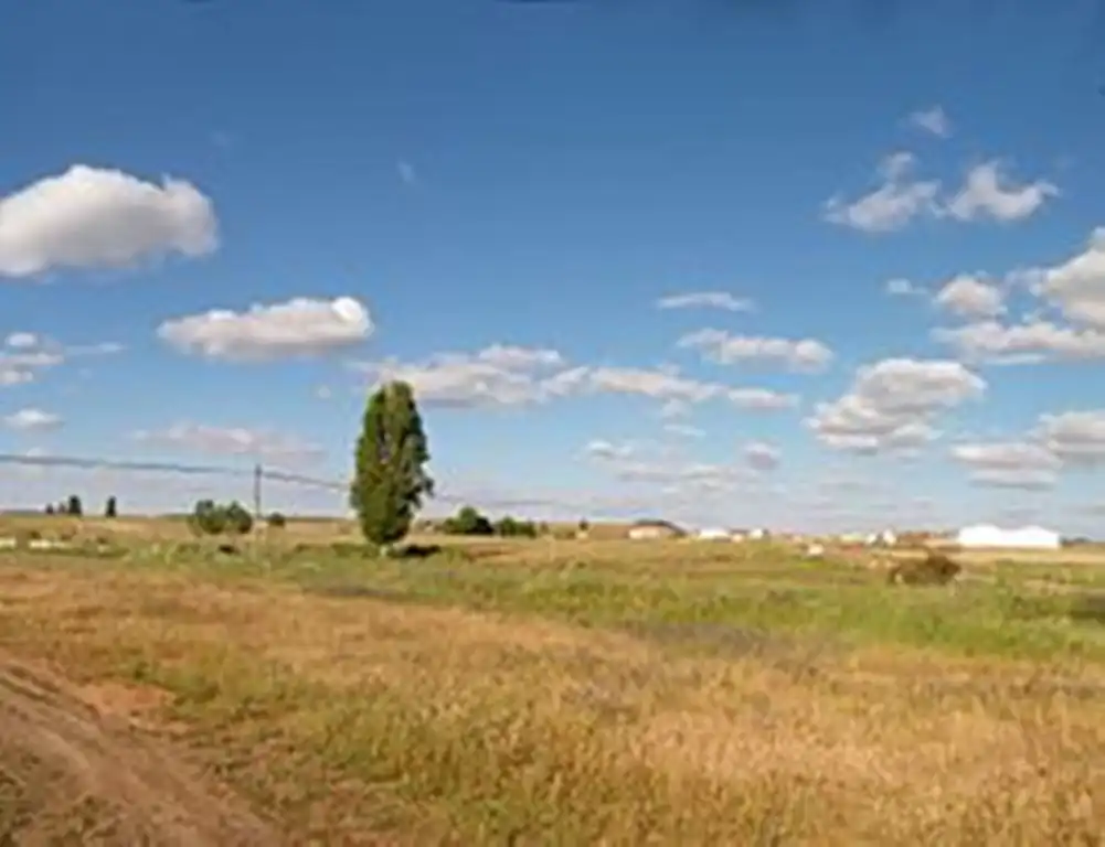Terreny rústic en venda a Arapiles