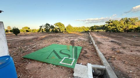 Foto 5 de Casa o xalet en venda a Carrer Forn de Carrascosa, Urbanitzacions i Pedanies Nord, Alzira