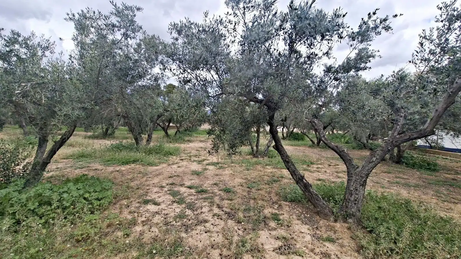 Wohnbaugrundstück zum Verkauf in CABO PALOS-RB ROLLET, imagen 10