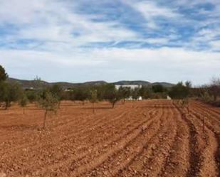 Land for sale in Biar