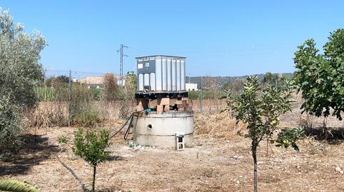 Photo 3 of Residential for sale in Calle del Camino del Río, 105, Villarrubia, Córdoba