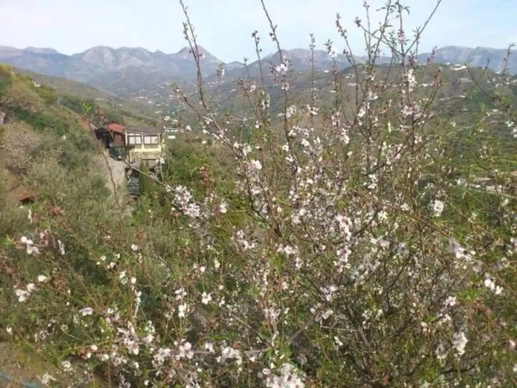 Exterior view of Country homes for rent in Torrox  with Heating, Private garden and Terrace