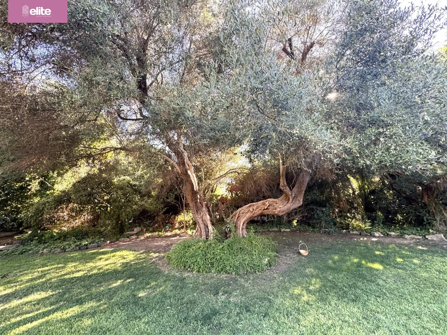 Detached house for sale in Avenida - Divina Pastora - Plaza de Toros, imagen 7
