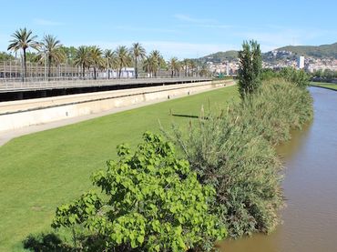 Terreni e lotti in vendita a Sant Andreu
