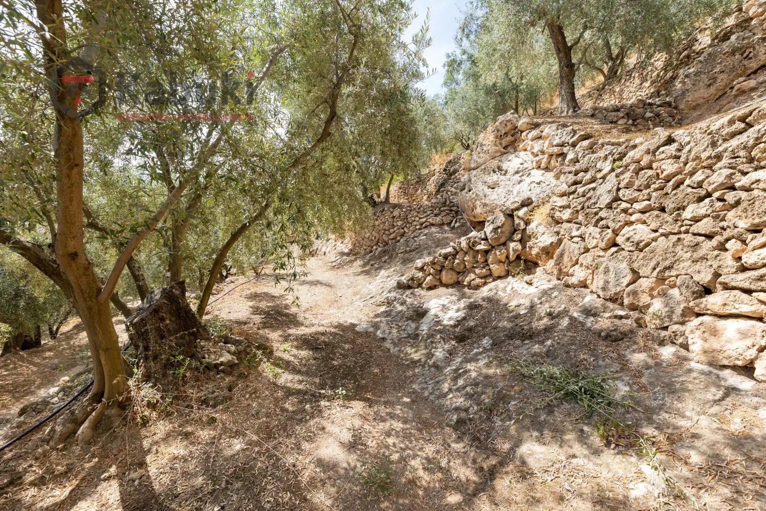 Terreno rustico in vendita a Pinar El - Pantano de Beznar, imagen 5