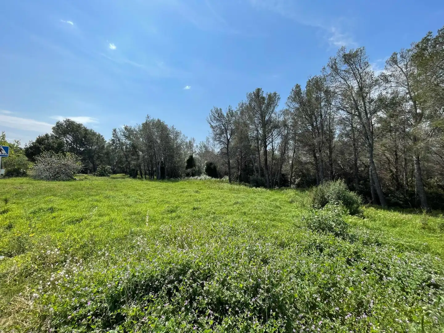 Lands and plots for sale in Poble