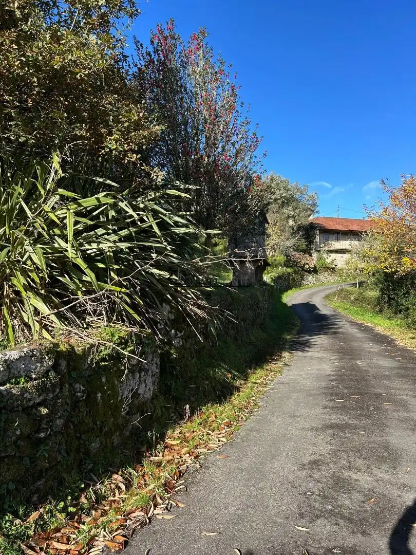 Vista exterior de Casa o xalet en venda en Cerdedo amb Jardí privat
