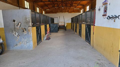 Photo 3 of Country homes for sale in Aznalcázar, Sevilla
