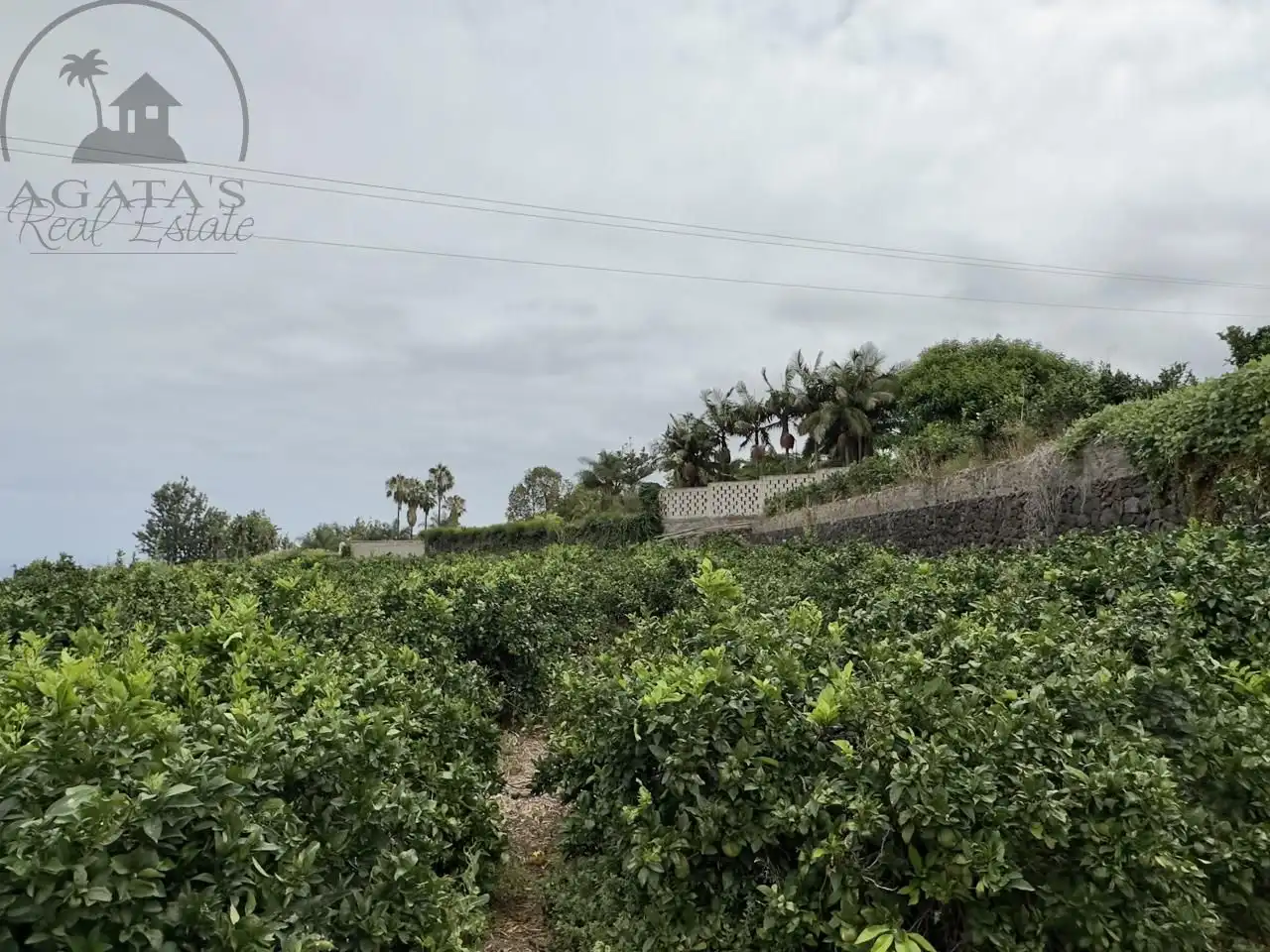 Finca rústica en venta en La Orotava con Jardín privado y Terraza