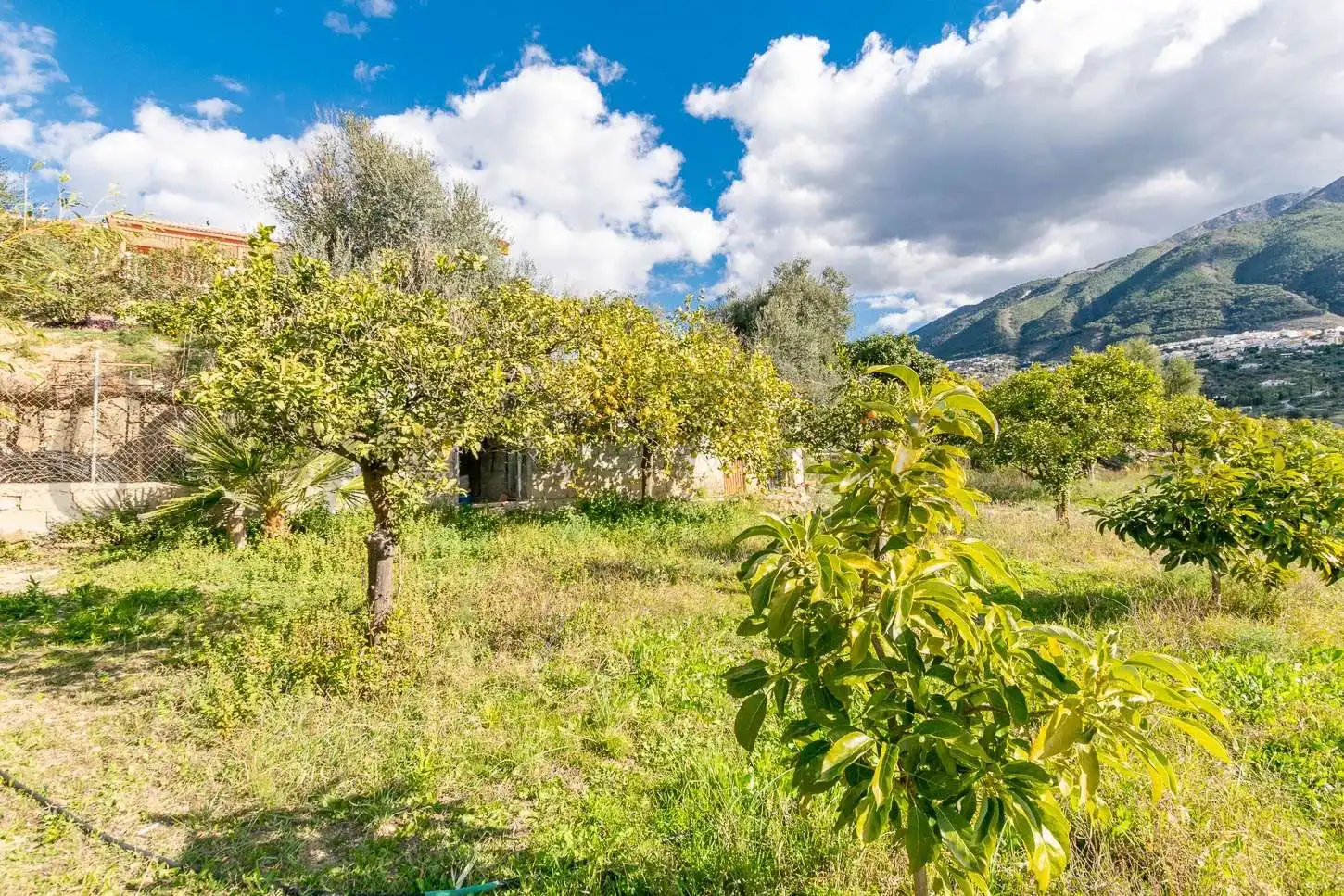 Casa con jardín en venta en Alcaucín, imagen 3