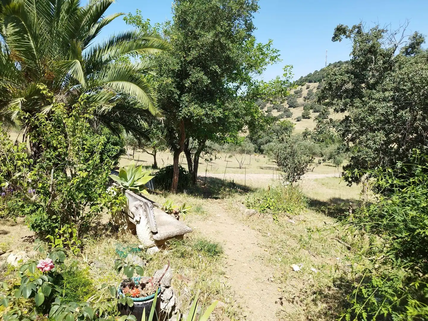 Finca rústica en venda en Almadén de la Plata amb Jardí privat