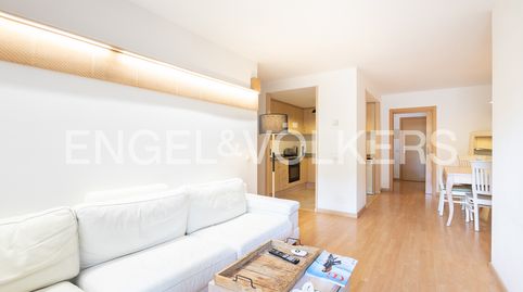 Foto 3 de Planta baja en venta en El Serrat -Llorts, Ordino