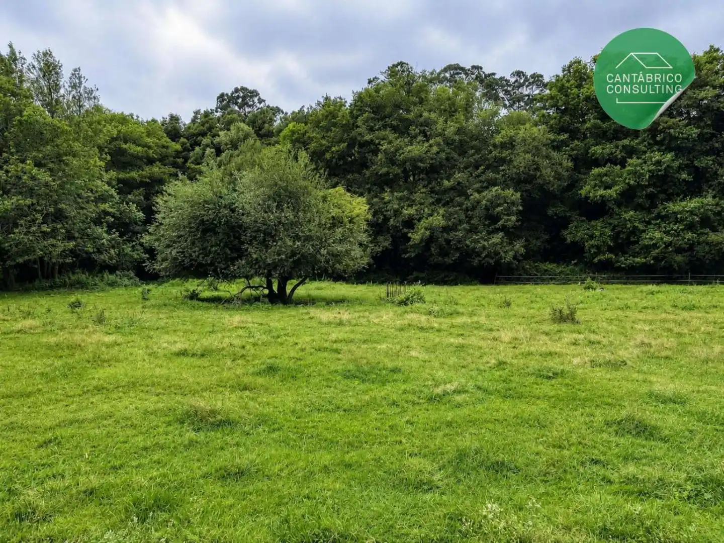 Finca rústica en venda en El Franco 
