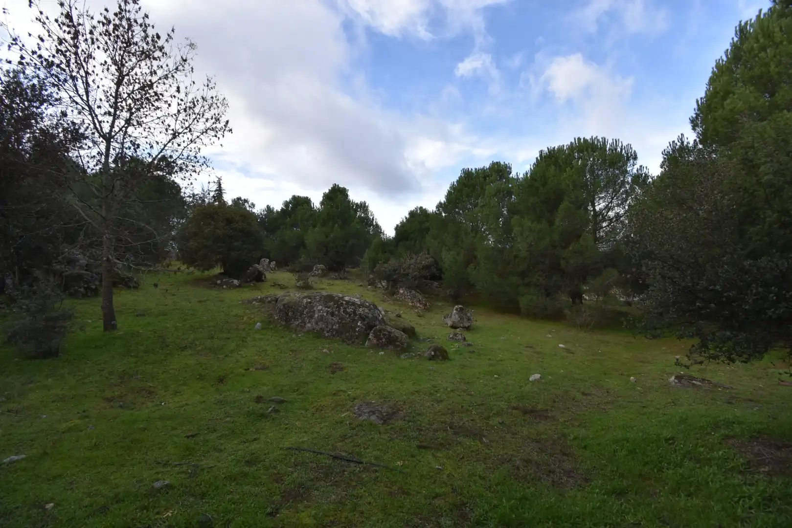 Wohnbaugrundstück zum Verkauf in Avenida Sajonia, imagen 10