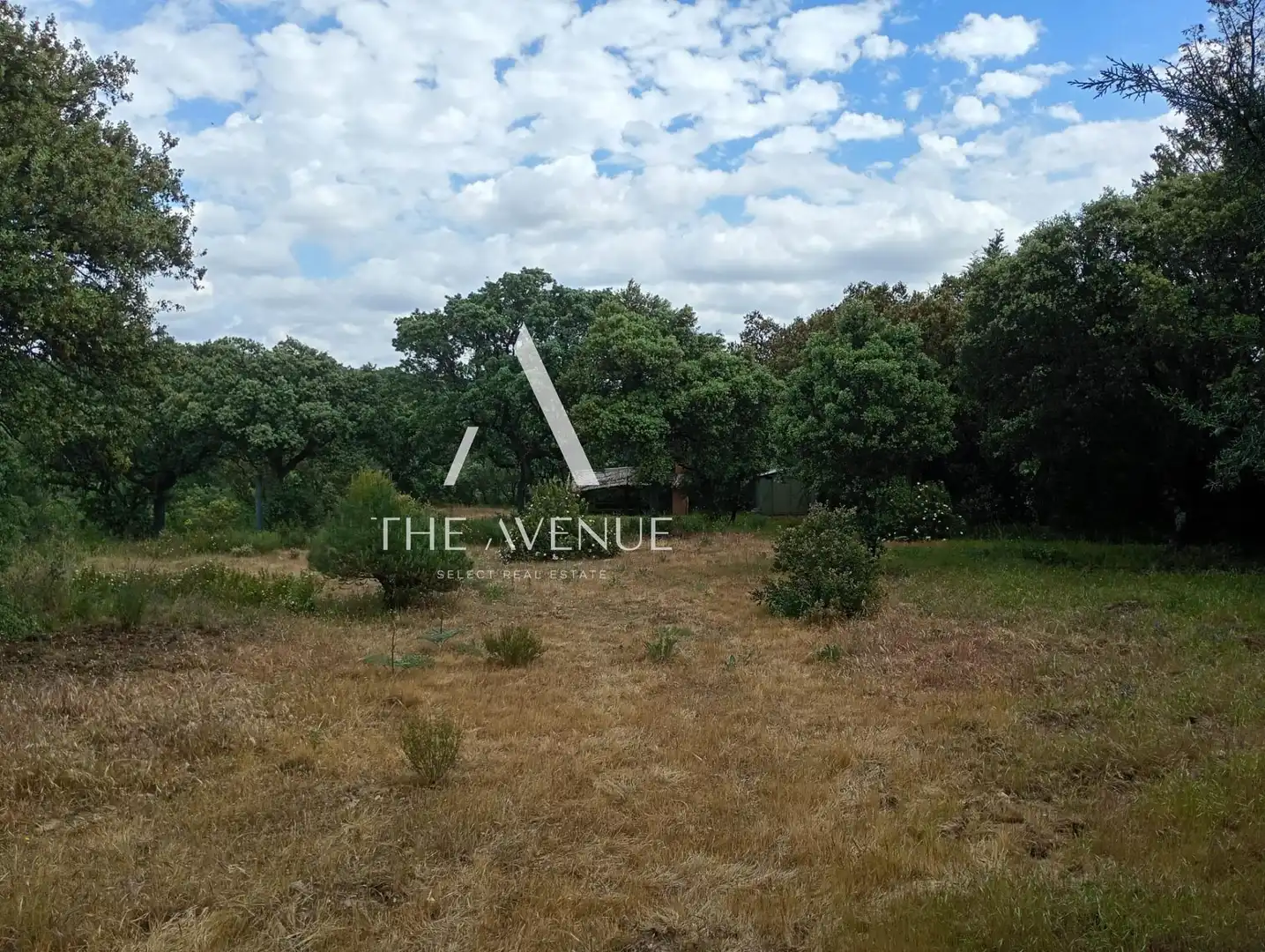 Terreno residencial en venta en Calle Enebros, imagen 14