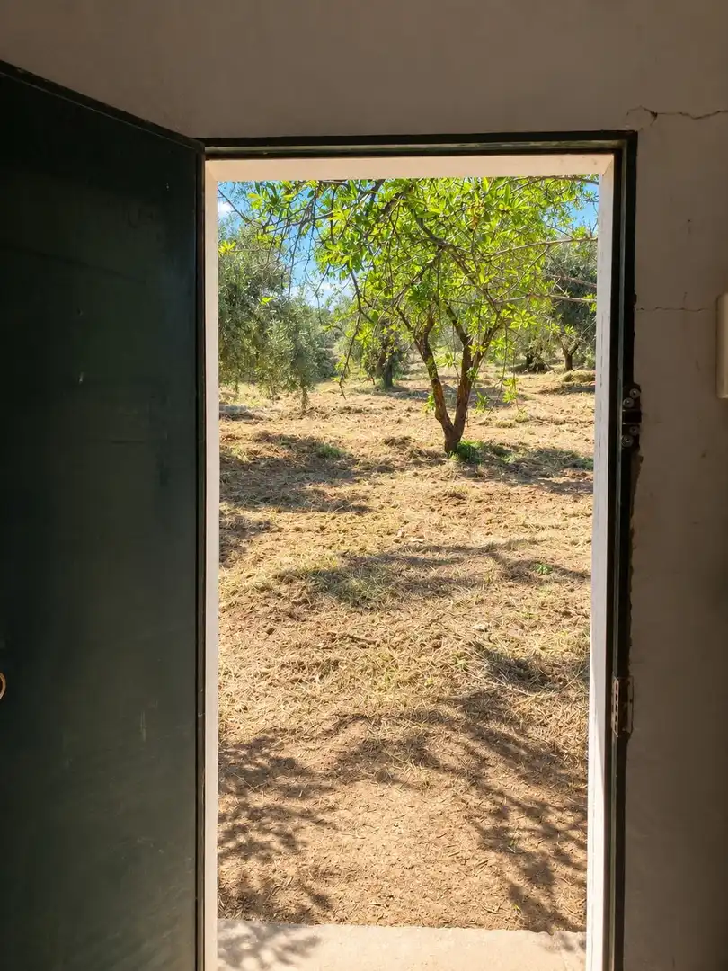 Maison rustique avec jardin à vendre à Carretera Fuente del Lobo Poligono, imagen 22