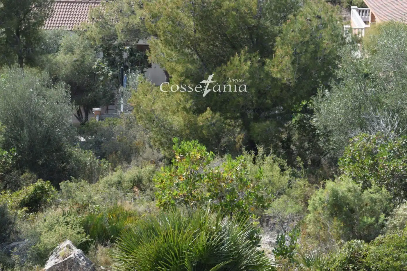 Terrain rustique à vendre à SANTA MARIA DE MONTSERRAT, imagen 11