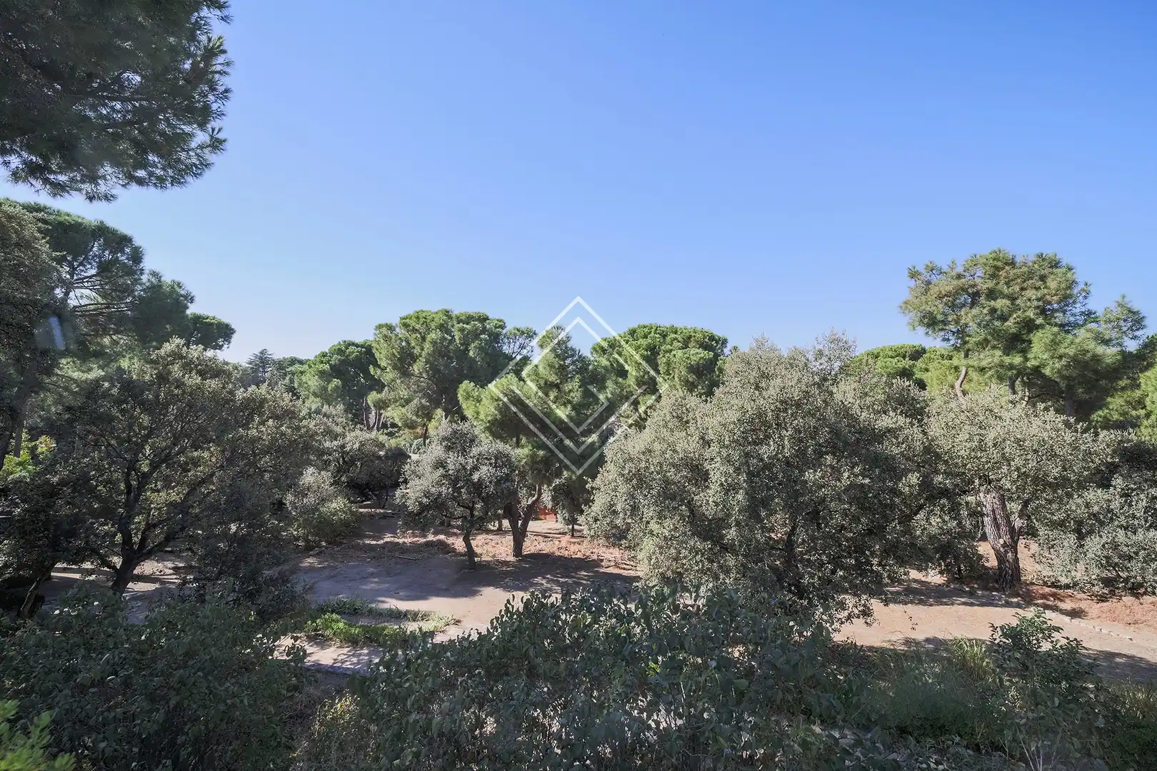 Casa o xalet en venda en Pozuelo de Alarcón amb Jardí privat, Terrassa i Piscina