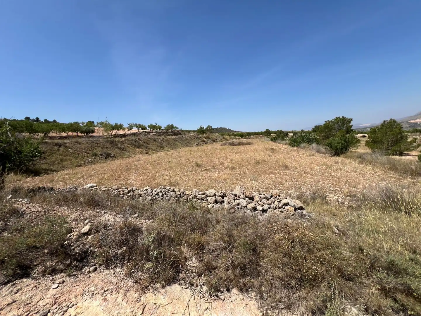 Rural land for sale in La Murada - Los Vicentes, imagen 7