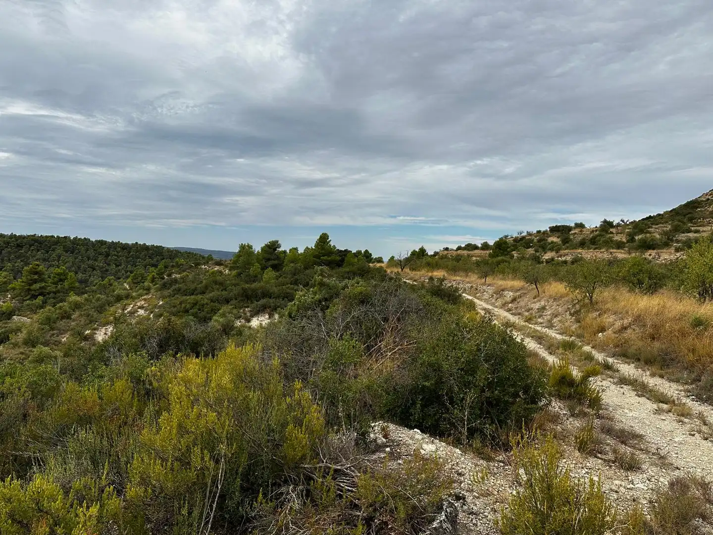 Terreny rústic en venda a Cervià de Les Garrigues, imagen 5
