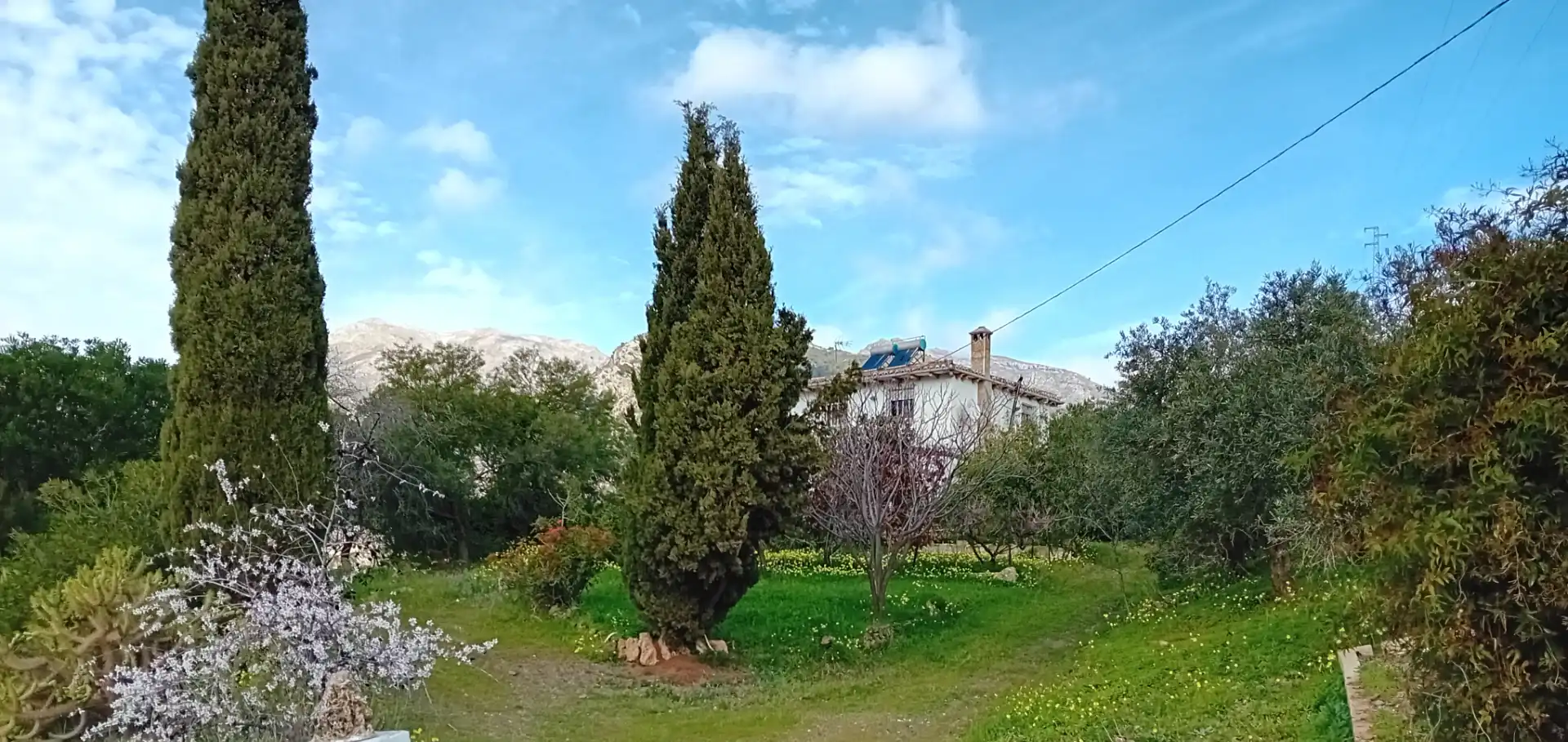 Casa rústica amb jardí en venda a Alozaina, imagen 5