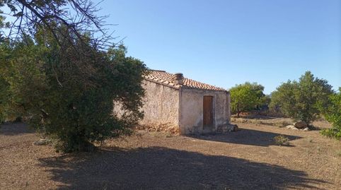 Finca en venta en la población de Xerta de 20.986 m2 de terreno en plena producción plantados de olivos y algarrobos,  tiene una c, imatge 5