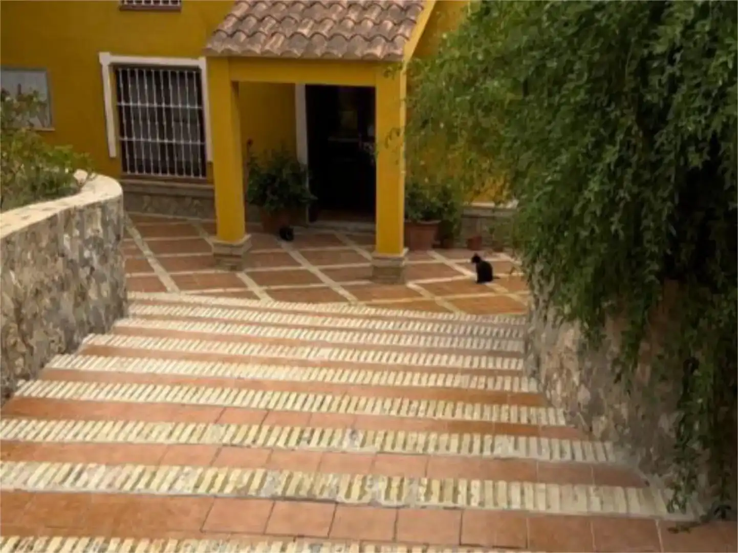 Vista exterior de Finca rústica en venda en Morón de la Frontera