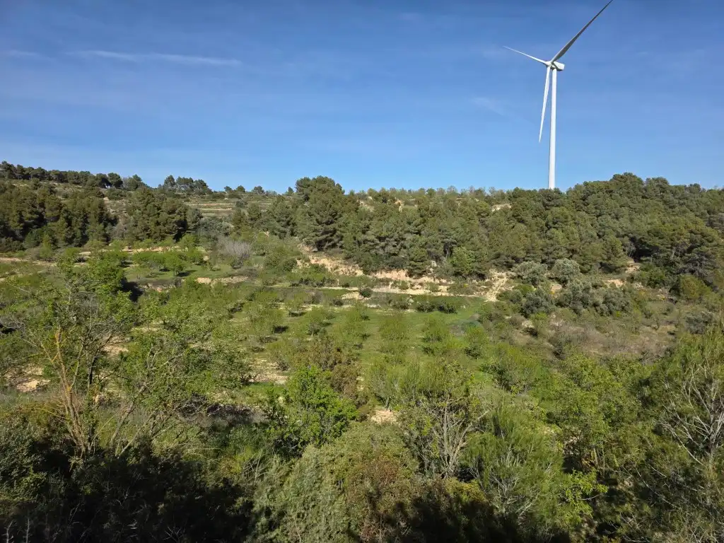 Terreno rustico in vendita a Caseres, imagen 2