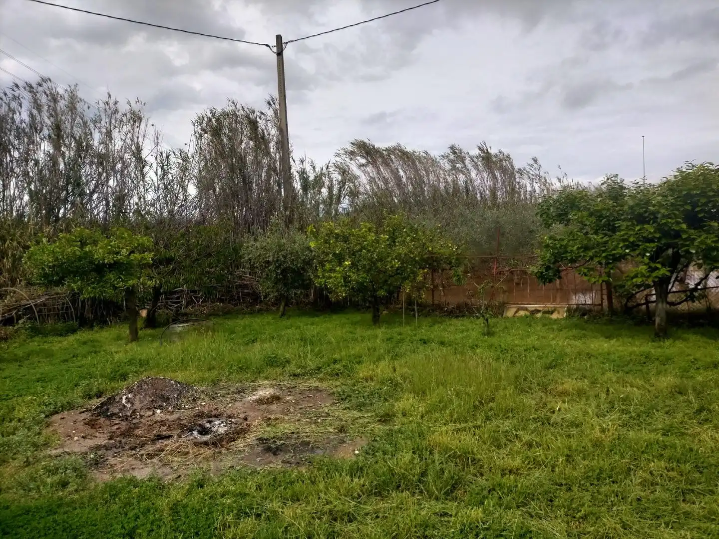Terreno rustico in vendita a Detrás de la gasolinera Las Palmeras N/A, imagen 8
