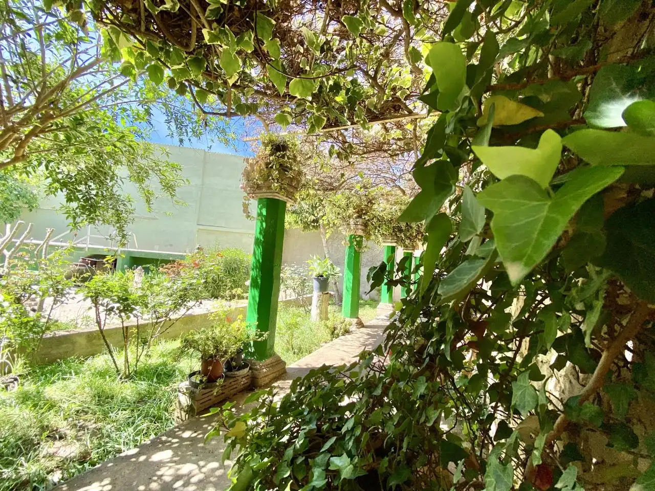 Garten von Haus oder Chalet zum Verkauf in  Palma de Mallorca mit Privatgarten, Terrasse und Abstellraum