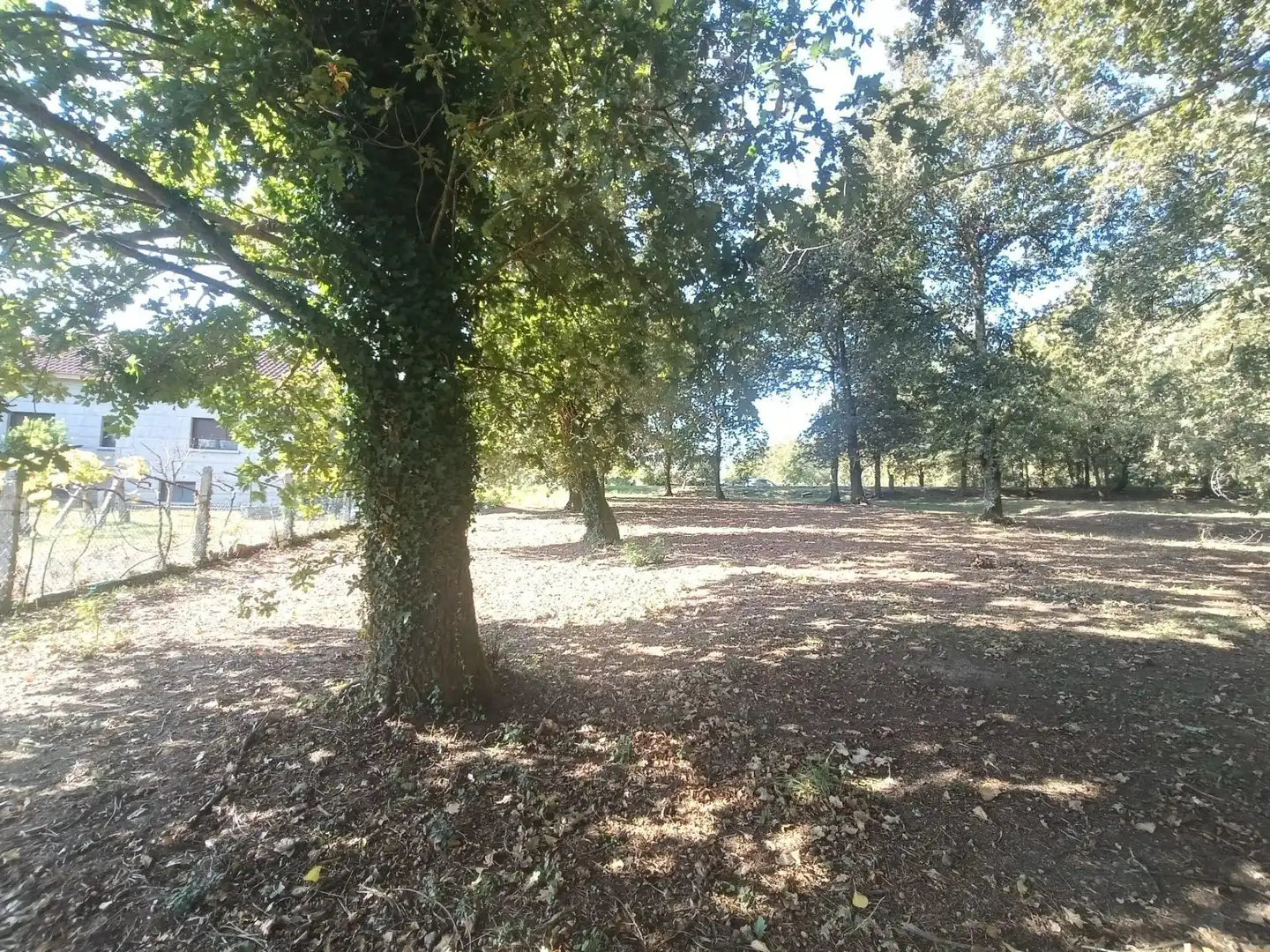 Residential land for sale in Lugar Barreiros, imagen 7
