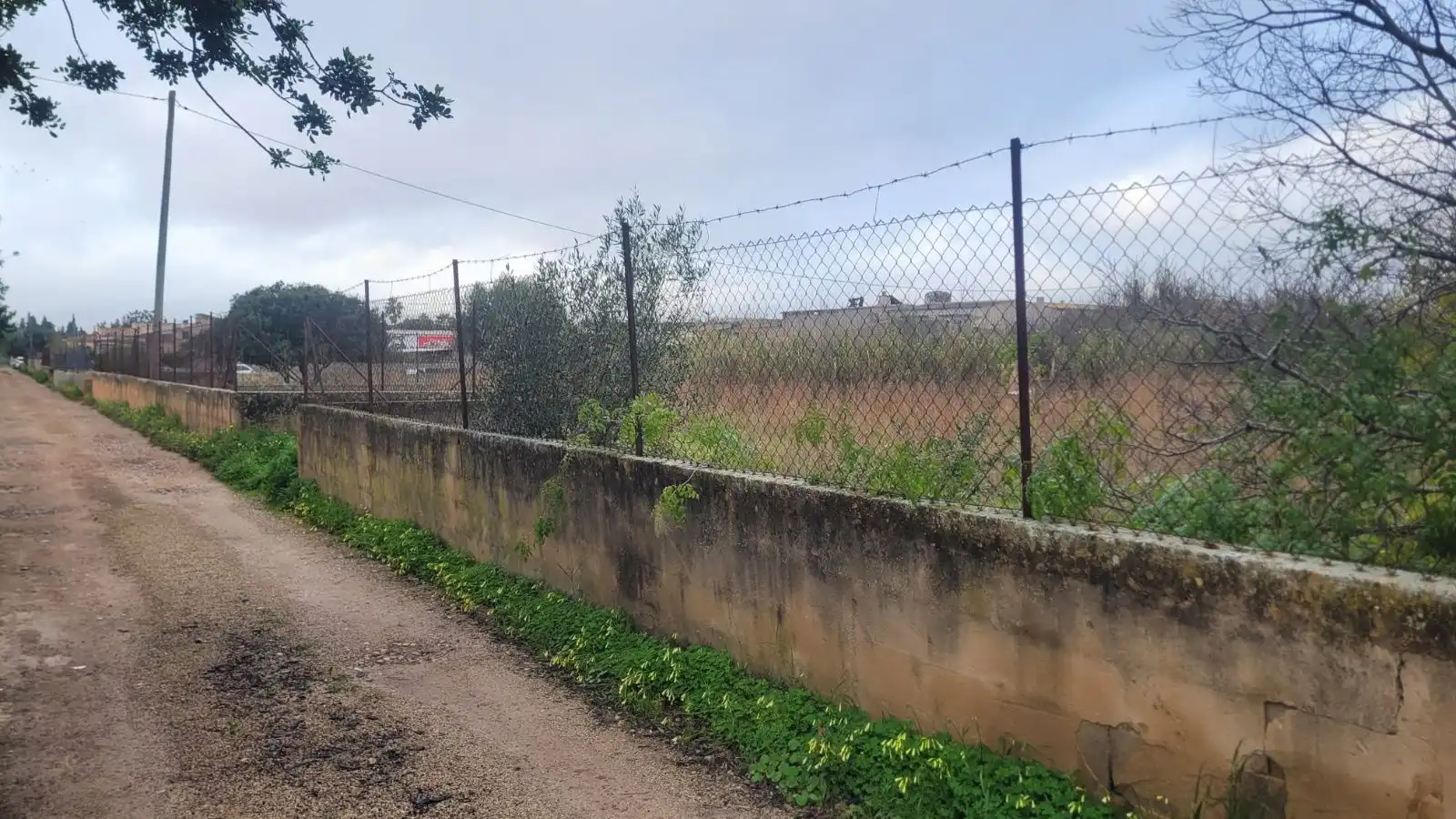 Terreny rústic en venda a Marratxinet, imagen 5
