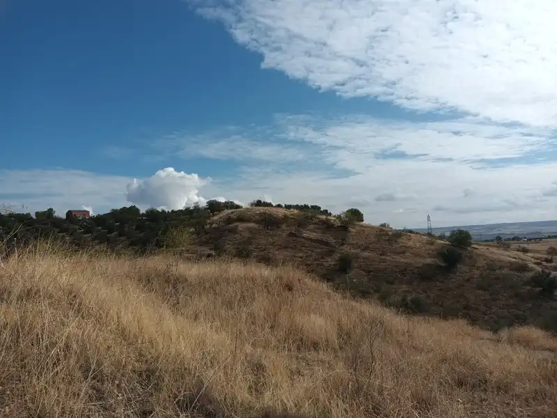 Terreno rustico in vendita a El Molar (Madrid)